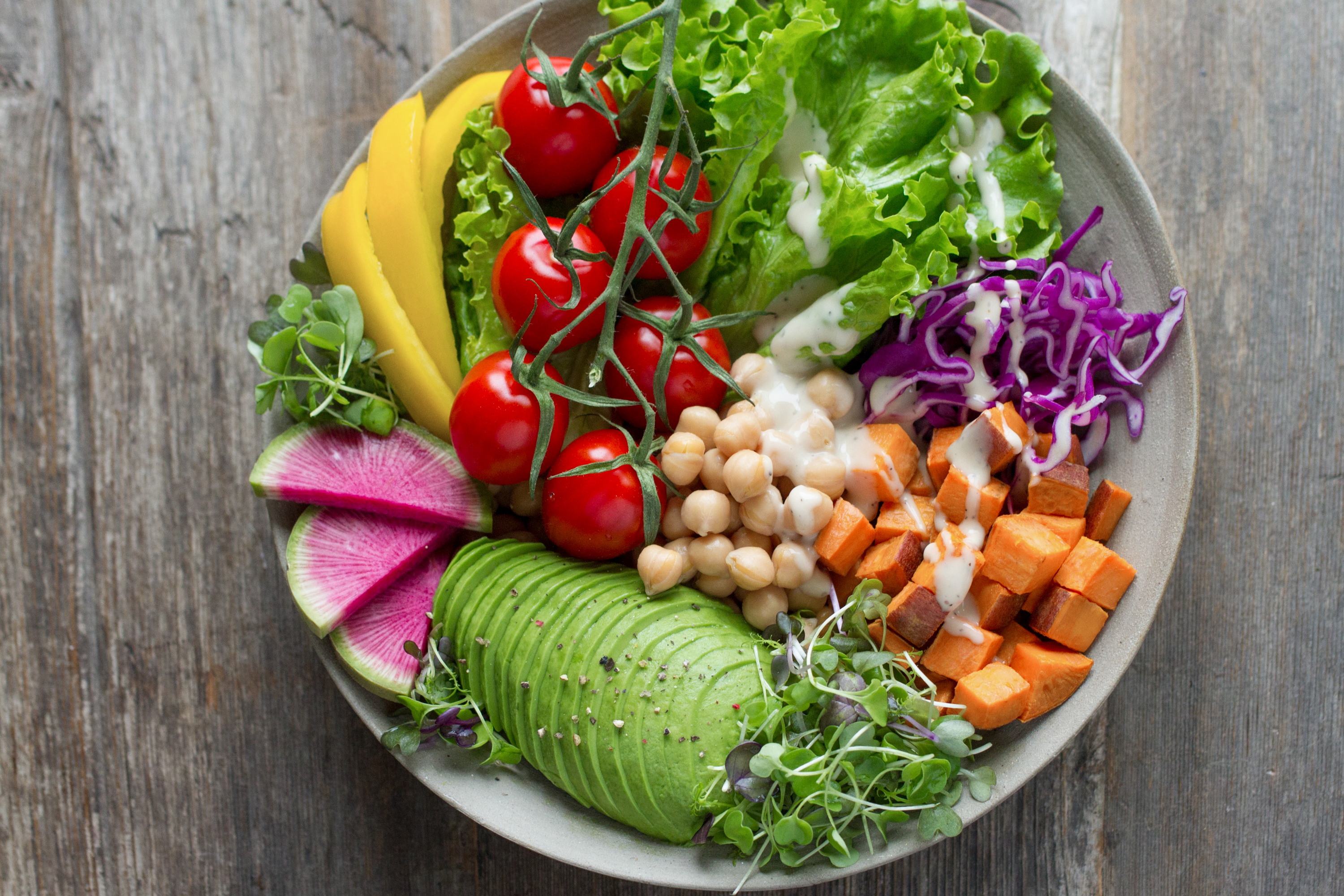 Obesity medicine lifestyle support image one