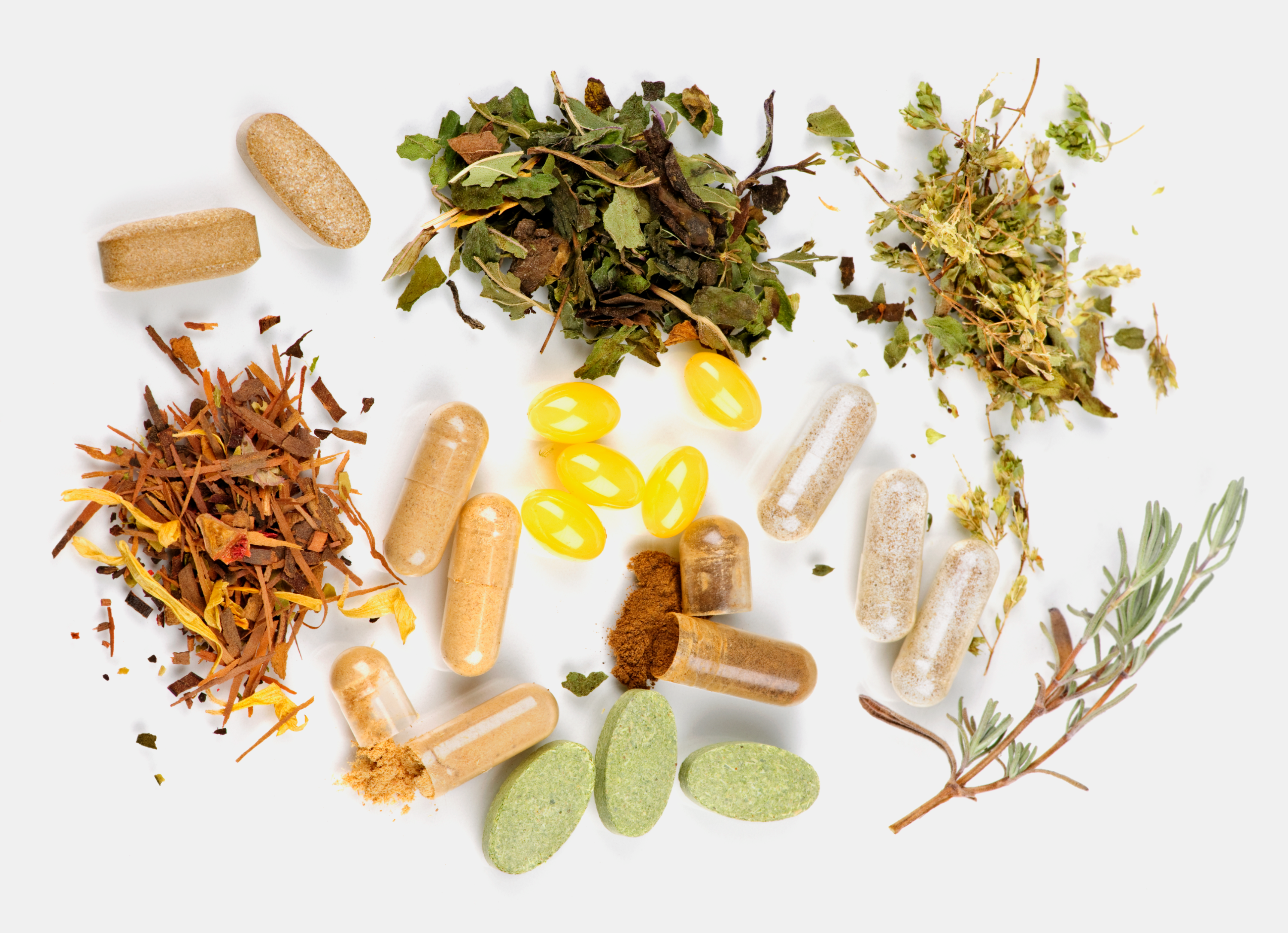 Botanical support image for a luxury wellness setting